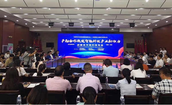 开云app注册-开云(中国)科技喜获千万级担保授信